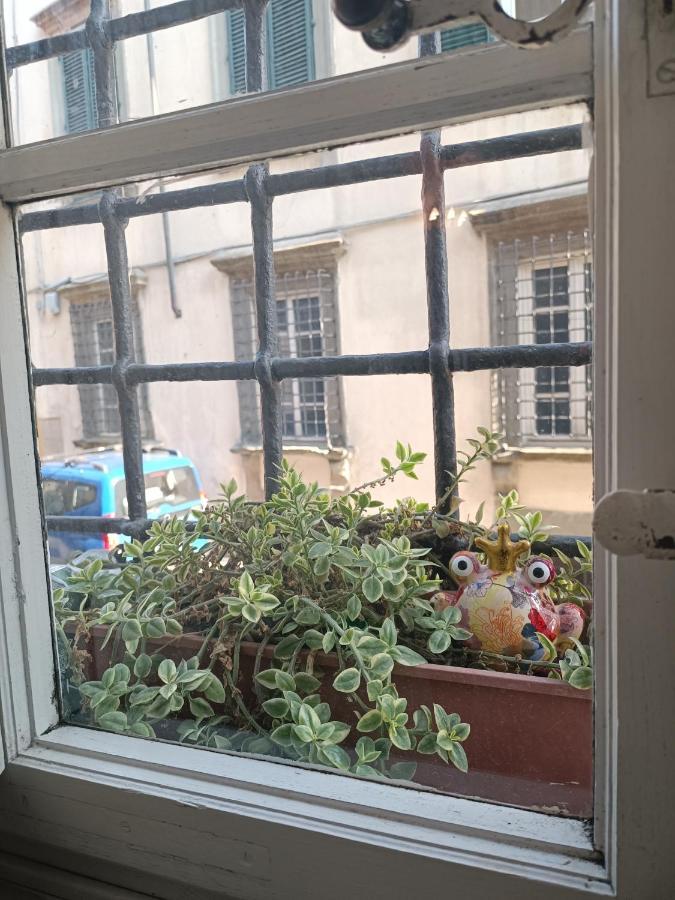 Apartament La Chiocciolina Lukka Zewnętrze zdjęcie