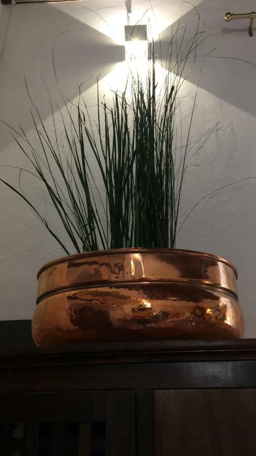 Apartament La Chiocciolina Lukka Zewnętrze zdjęcie