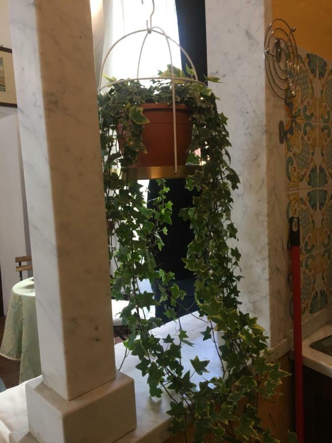 Apartament La Chiocciolina Lukka Zewnętrze zdjęcie